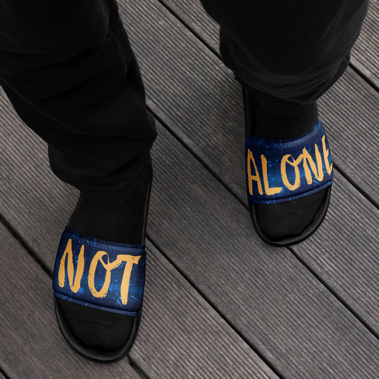 Not Alone slides